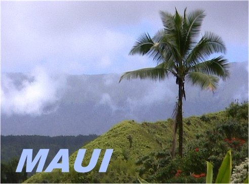 maui.jpg